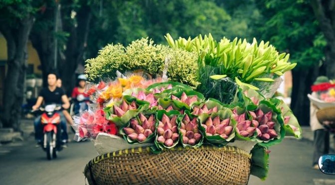 Hanoi Autumn