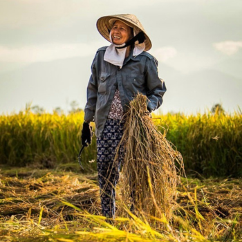 HOI AN COUNTRYSIDE JEEP TOUR